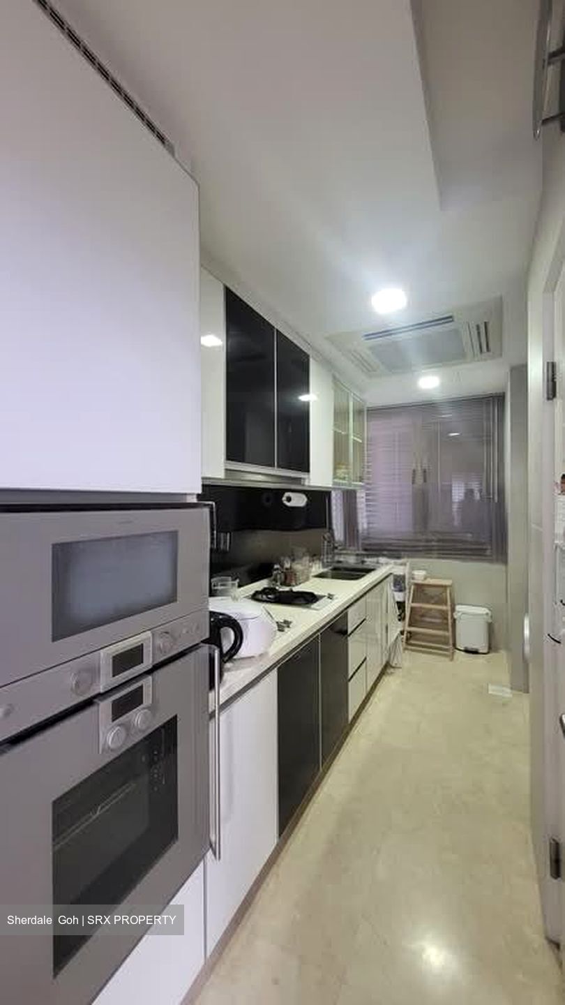 Angullia Park Residences @ Orchard (D10), Apartment #558074521